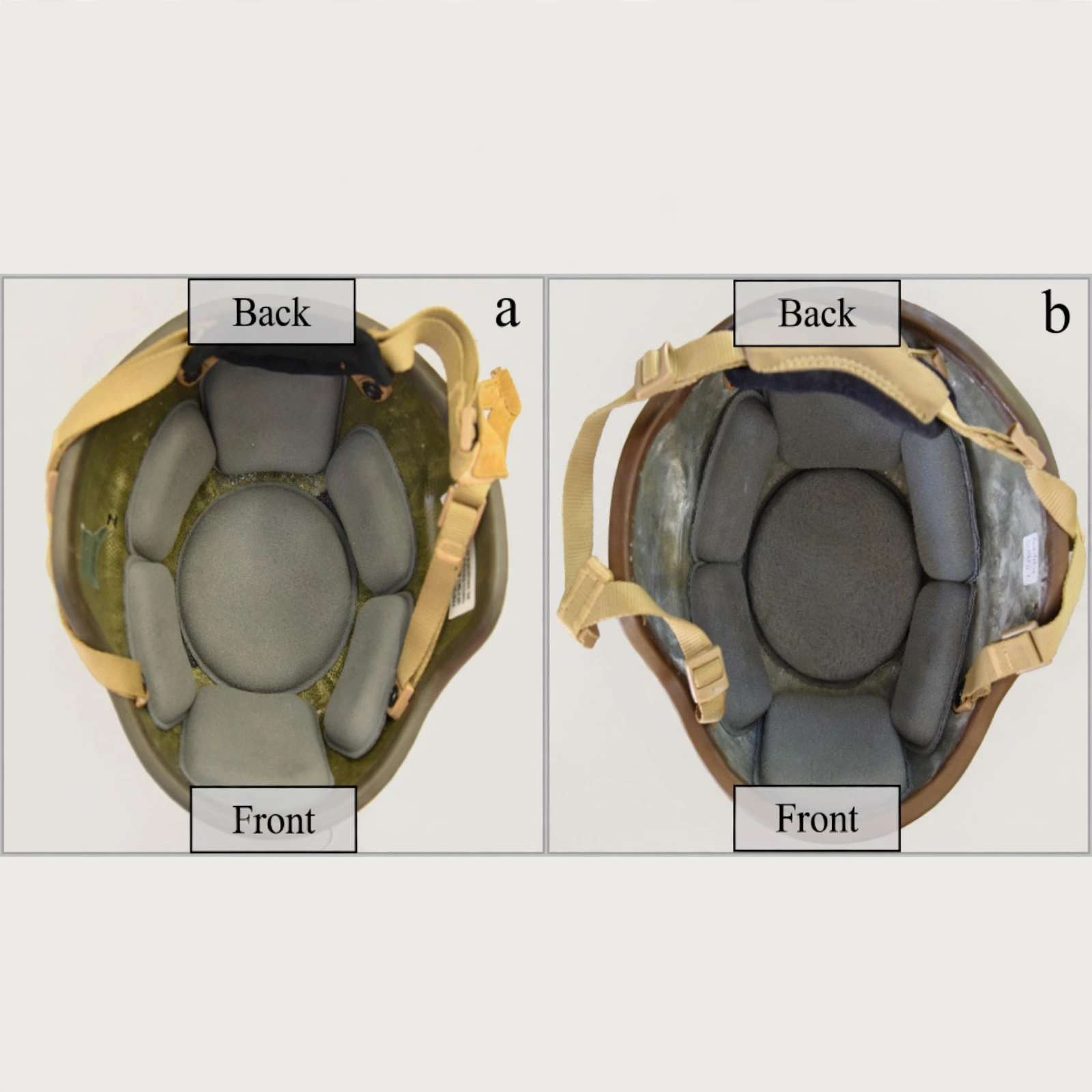 A picture of the bottom of a helmet, one with the liner and one without.